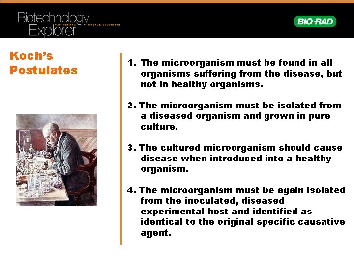 Koch’s Postulates 1. The microorganism must be found in all organisms suffering from the