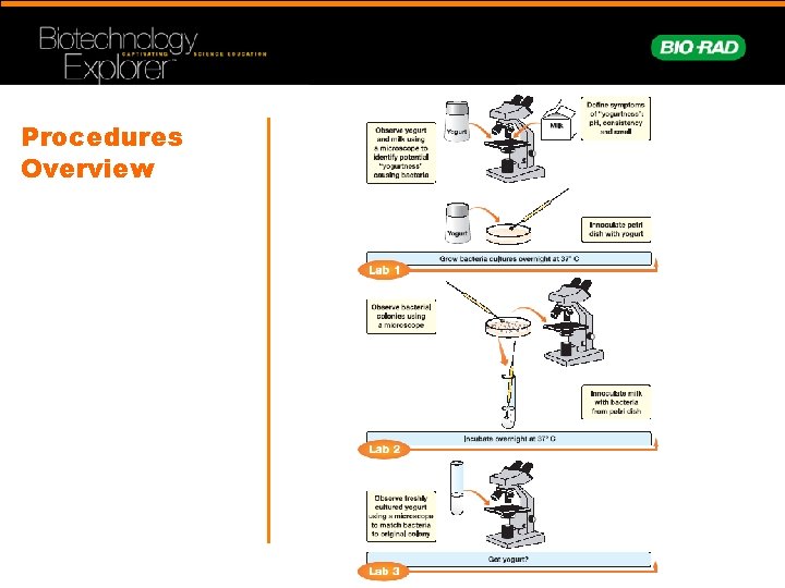 Procedures Overview 