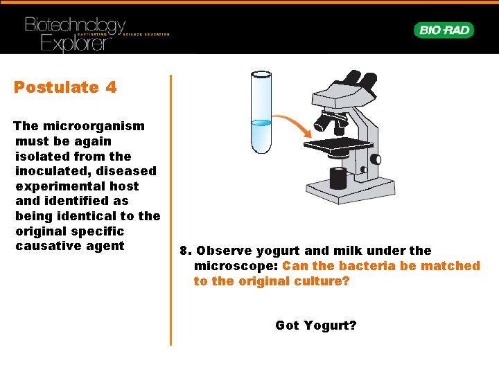 Postulate 4 The microorganism must be again isolated from the inoculated, diseased experimental host