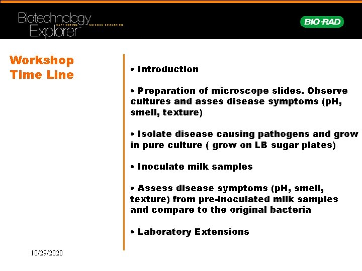 Workshop Time Line • Introduction • Preparation of microscope slides. Observe cultures and asses