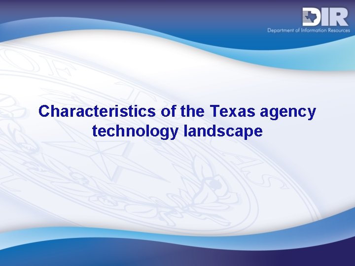 Characteristics of the Texas agency technology landscape 