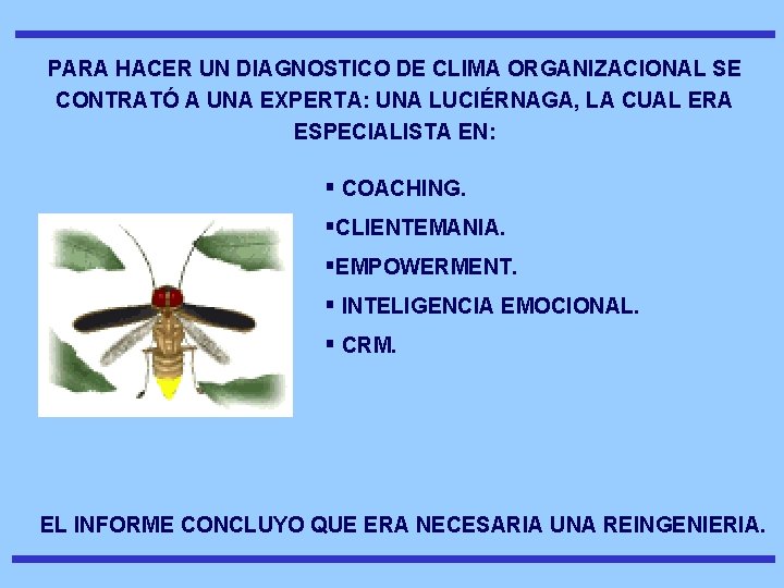 PARA HACER UN DIAGNOSTICO DE CLIMA ORGANIZACIONAL SE CONTRATÓ A UNA EXPERTA: UNA LUCIÉRNAGA,