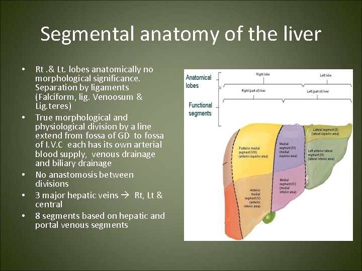 Segmental anatomy of the liver • • • Rt. & Lt. lobes anatomically no
