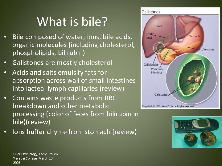 What is bile? • Bile composed of water, ions, bile acids, organic molecules (including