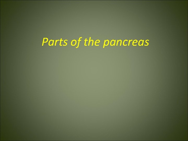  Parts of the pancreas 