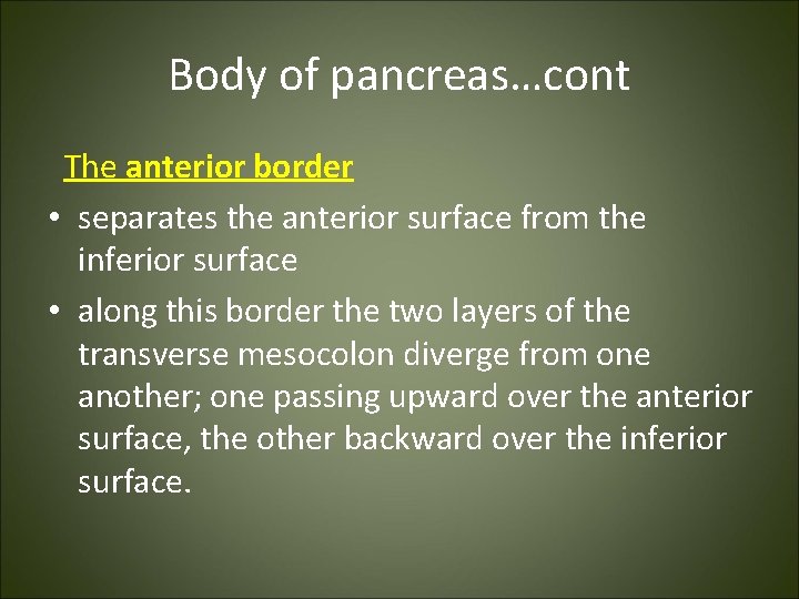 Body of pancreas…cont The anterior border • separates the anterior surface from the inferior