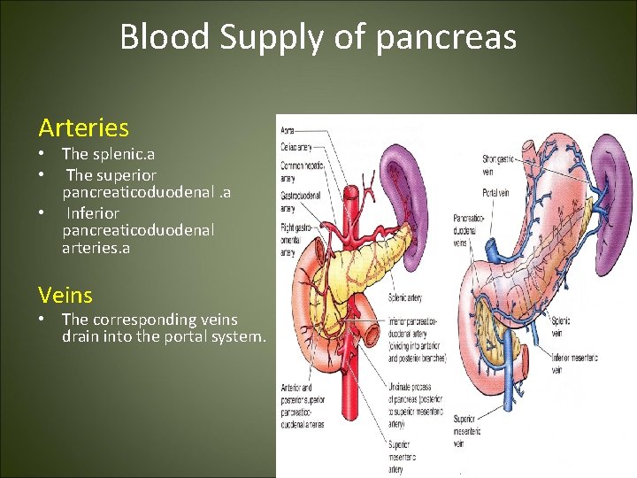 Blood Supply of pancreas Arteries • The splenic. a • The superior pancreaticoduodenal. a