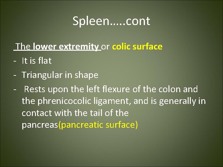 Spleen…. . cont The lower extremity or colic surface - It is flat -