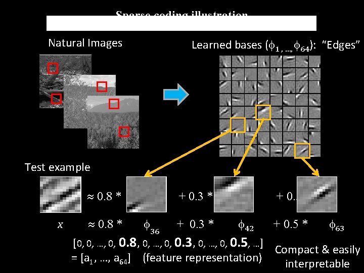Sparse coding illustration Natural Images Learned bases ( 1 , …, 64): “Edges” Test Sparse coding illustration Natural Images Learned bases ( 1 , …, 64): “Edges” Test