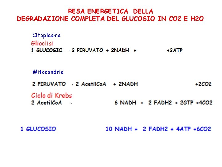 RESA ENERGETICA DELLA DEGRADAZIONE COMPLETA DEL GLUCOSIO IN CO 2 E H 2 O