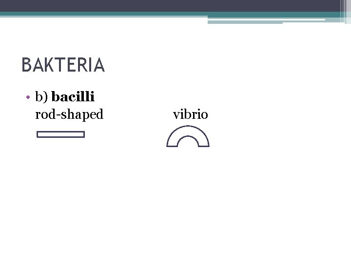 BAKTERIA • b) bacilli rod-shaped vibrio 