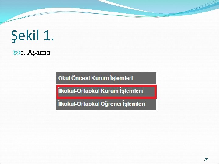 Şekil 1. Aşama 30 