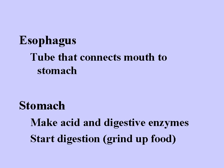 Esophagus Tube that connects mouth to stomach Stomach Make acid and digestive enzymes Start