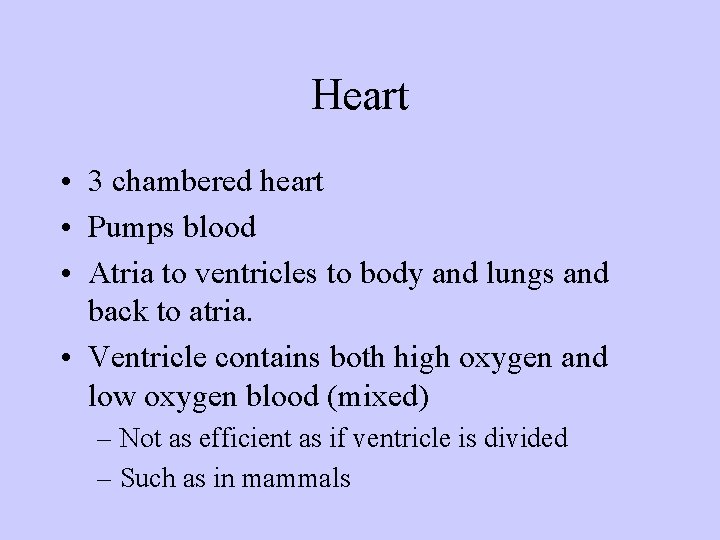 Heart • 3 chambered heart • Pumps blood • Atria to ventricles to body