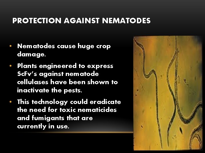 PROTECTION AGAINST NEMATODES • Nematodes cause huge crop damage. • Plants engineered to express