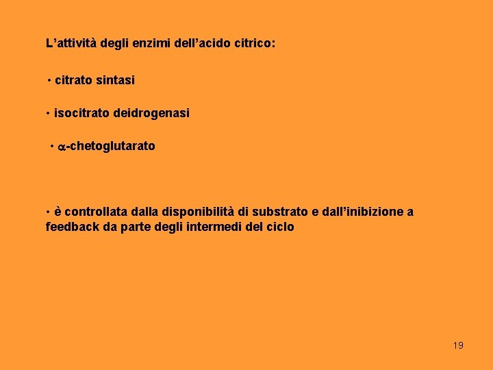 L’attività degli enzimi dell’acido citrico: • citrato sintasi • isocitrato deidrogenasi • -chetoglutarato •