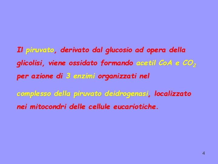 Il piruvato, derivato dal glucosio ad opera della glicolisi, viene ossidato formando acetil Co.