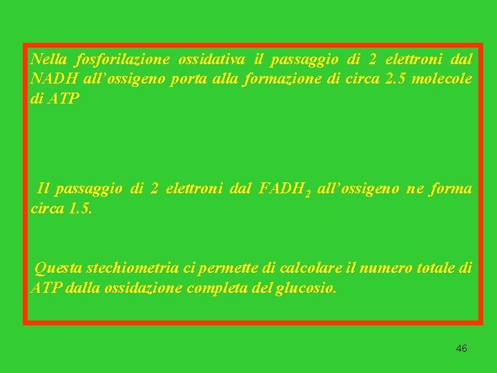 Nella fosforilazione ossidativa il passaggio di 2 elettroni dal NADH all’ossigeno porta alla formazione