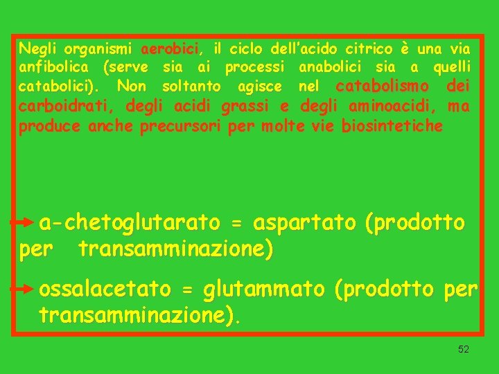 Negli organismi aerobici, il ciclo dell’acido citrico è una via anfibolica (serve sia ai