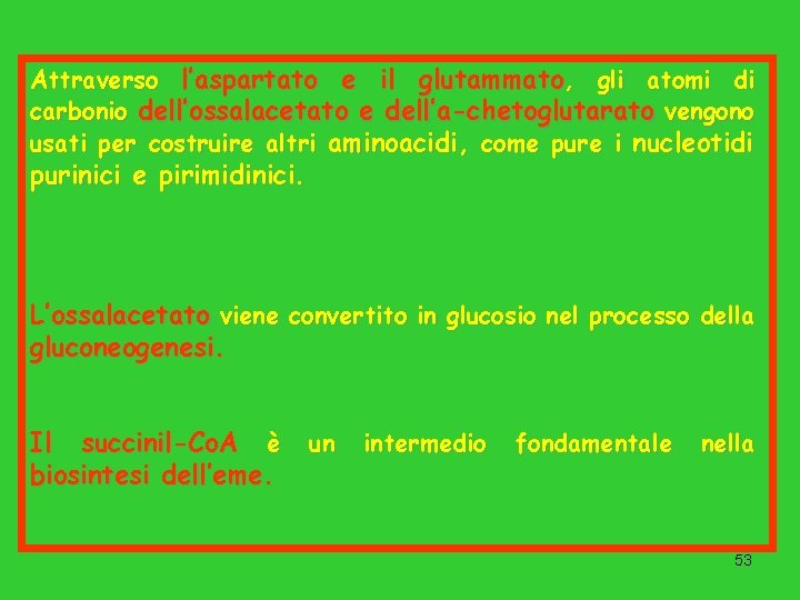 Attraverso l’aspartato e il glutammato, gli atomi di carbonio dell’ossalacetato e dell’a-chetoglutarato vengono usati