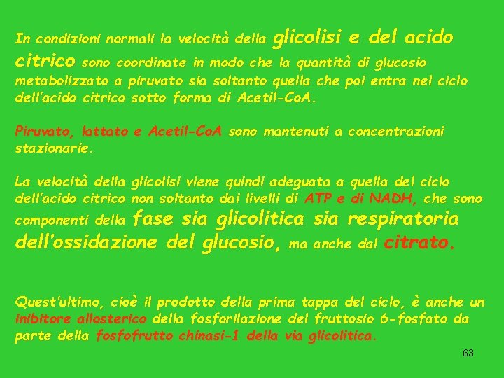 In condizioni normali la velocità della glicolisi e del acido citrico sono coordinate in