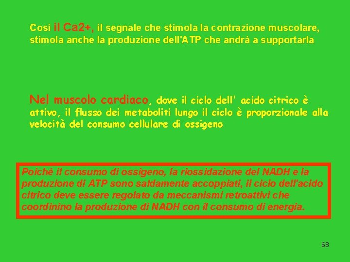 Così il Ca 2+, il segnale che stimola la contrazione muscolare, stimola anche la