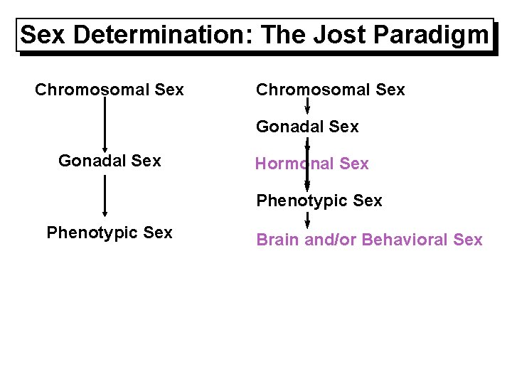 Sex Determination: The Jost Paradigm Chromosomal Sex Gonadal Sex Hormonal Sex Phenotypic Sex Brain