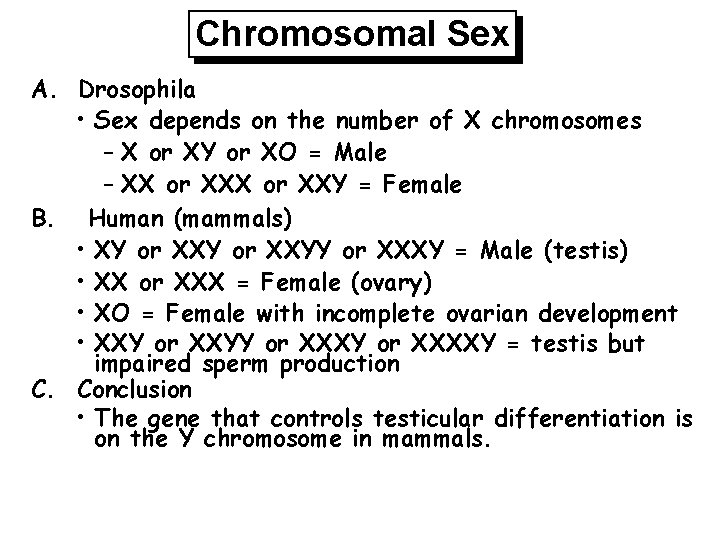 Chromosomal Sex A. Drosophila • Sex depends on the number of X chromosomes –