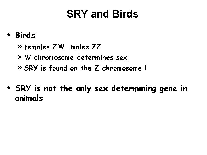 SRY and Birds • • Birds » females ZW, males ZZ » W chromosome