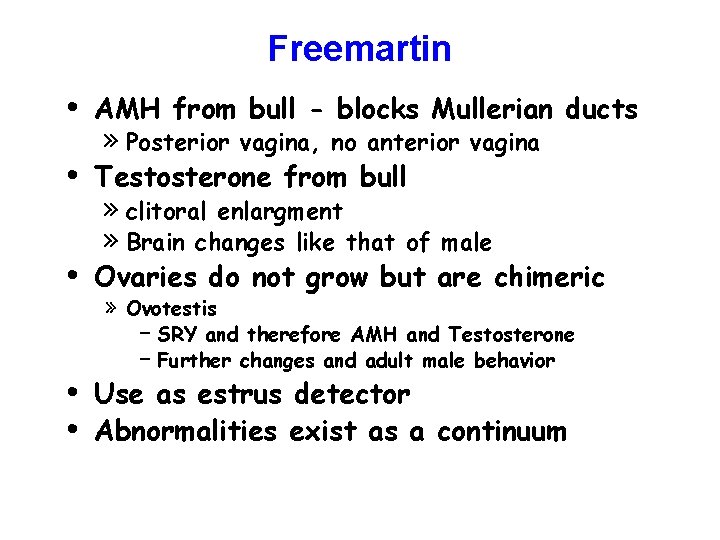 Freemartin • AMH from bull - blocks Mullerian ducts • Testosterone from bull »