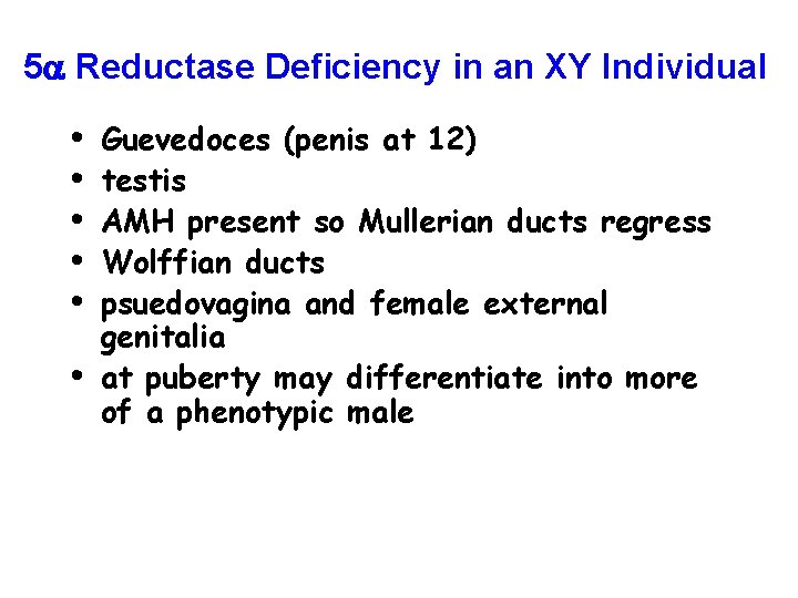 5 Reductase Deficiency in an XY Individual • • • Guevedoces (penis at 12)