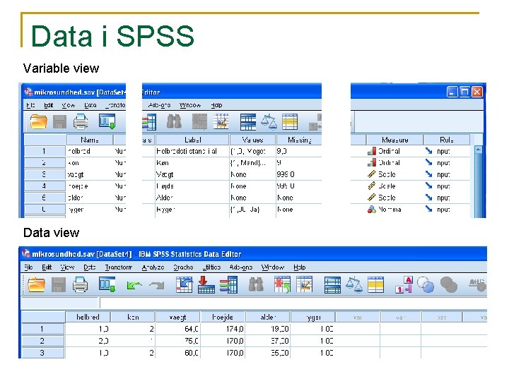Data i SPSS Variable view Data view 