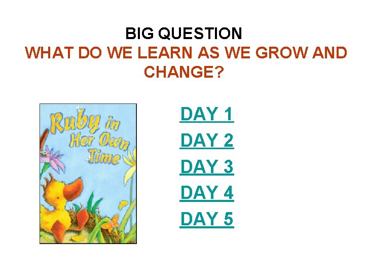 BIG QUESTION WHAT DO WE LEARN AS WE GROW AND CHANGE? DAY 1 DAY