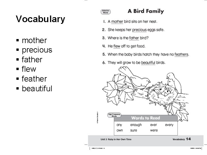 Vocabulary § mother § precious § father § flew § feather § beautiful 