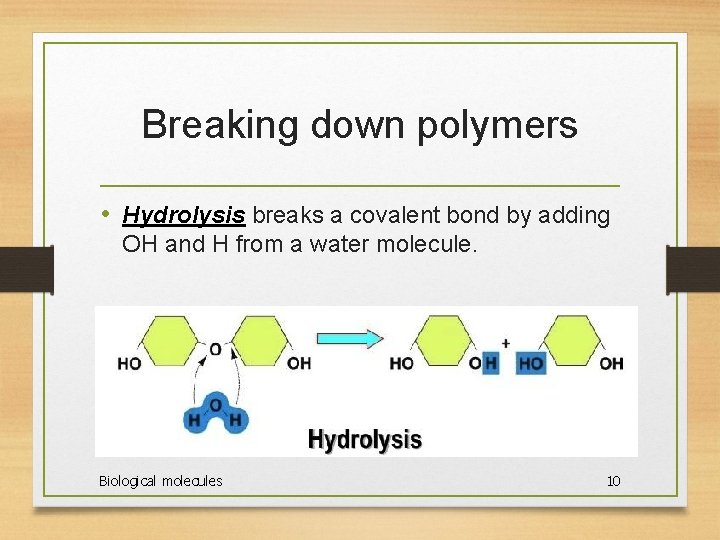 Breaking down polymers • Hydrolysis breaks a covalent bond by adding OH and H