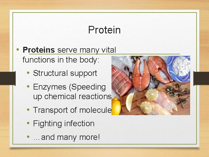 Protein • Proteins serve many vital functions in the body: • Structural support •