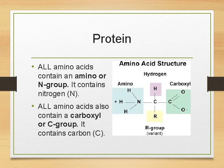 Protein • ALL amino acids contain an amino or N-group. It contains nitrogen (N).