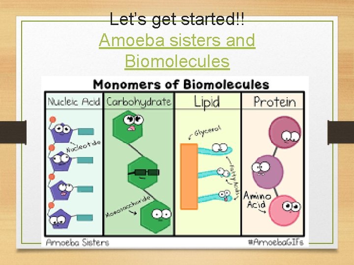 Let’s get started!! Amoeba sisters and Biomolecules 