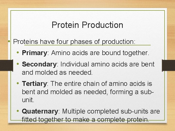 Protein Production • Proteins have four phases of production: • Primary: Amino acids are