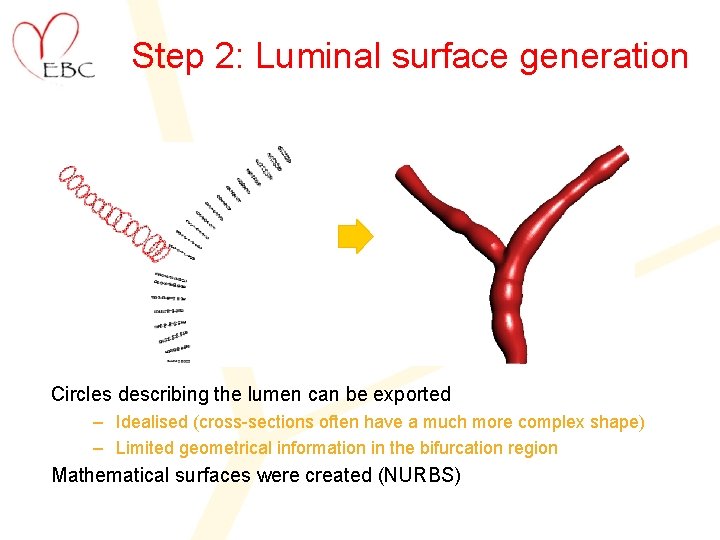 Step 2: Luminal surface generation Circles describing the lumen can be exported – Idealised