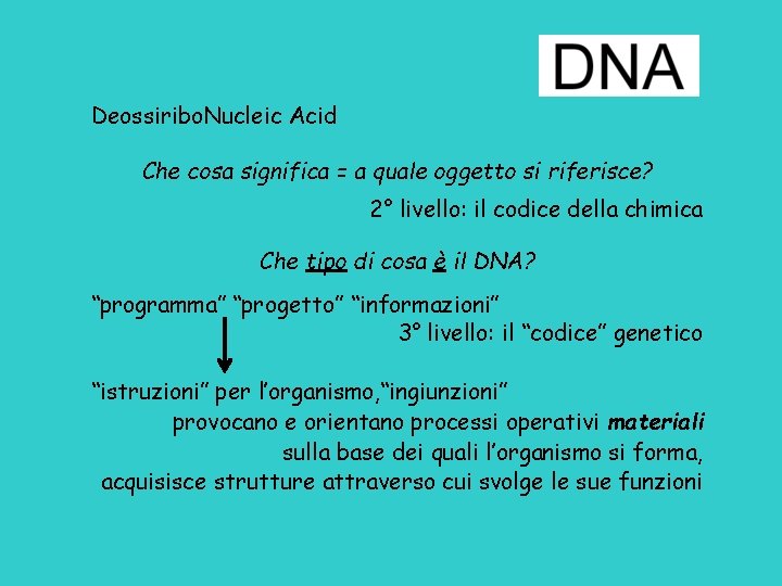 Deossiribo. Nucleic Acid Che cosa significa = a quale oggetto si riferisce? 2° livello: