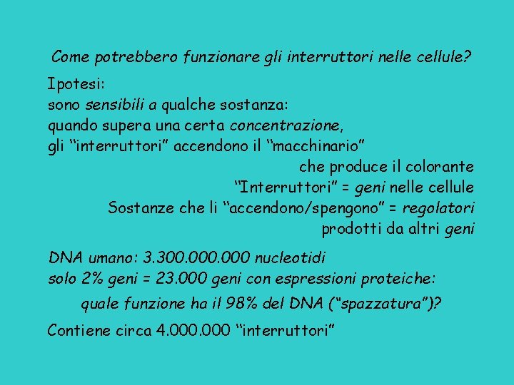 Come potrebbero funzionare gli interruttori nelle cellule? Ipotesi: sono sensibili a qualche sostanza: quando