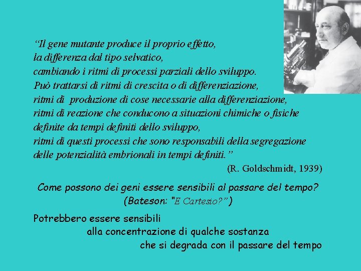 “Il gene mutante produce il proprio effetto, la differenza dal tipo selvatico, cambiando i