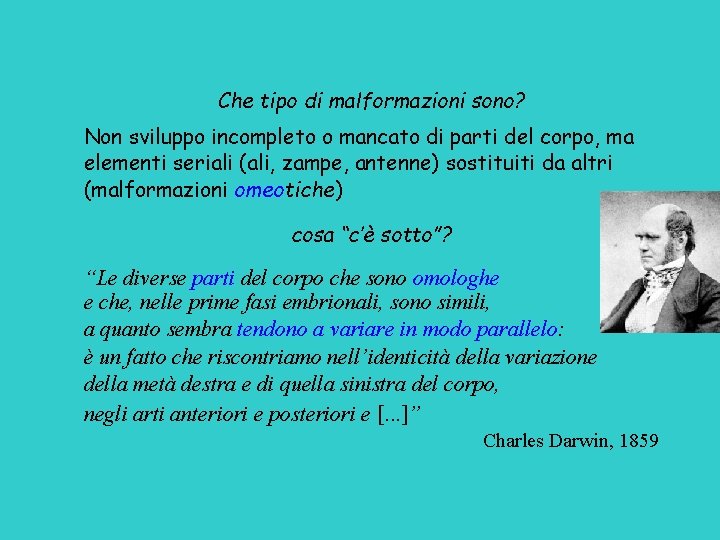 Che tipo di malformazioni sono? Non sviluppo incompleto o mancato di parti del corpo,