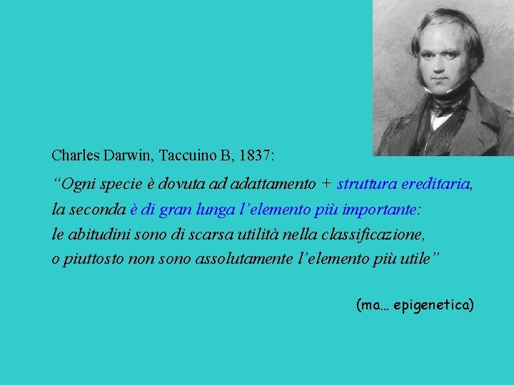 Charles Darwin, Taccuino B, 1837: “Ogni specie è dovuta ad adattamento + struttura ereditaria,
