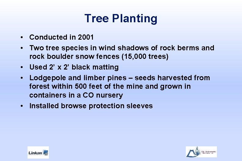 Tree Planting • Conducted in 2001 • Two tree species in wind shadows of