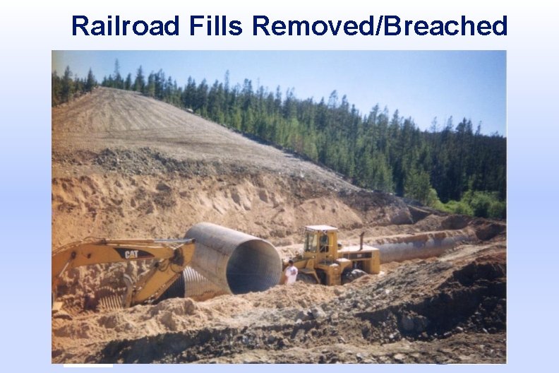 Railroad Fills Removed/Breached 