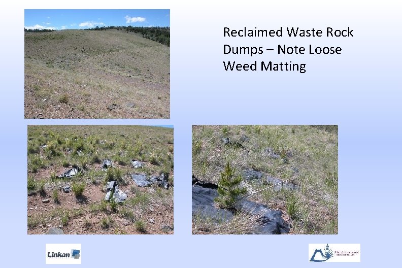 Reclaimed Waste Rock Dumps – Note Loose Weed Matting 