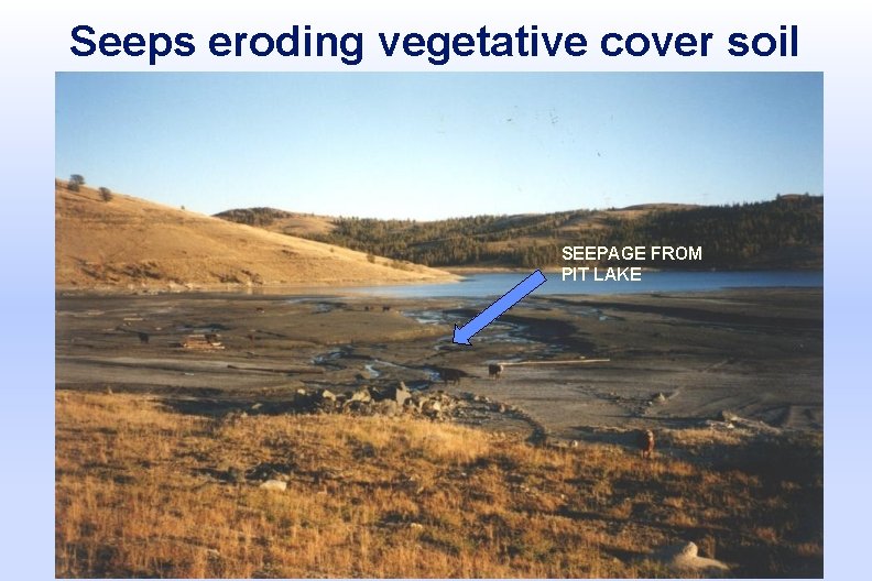 Seeps eroding vegetative cover soil SEEPAGE FROM PIT LAKE 