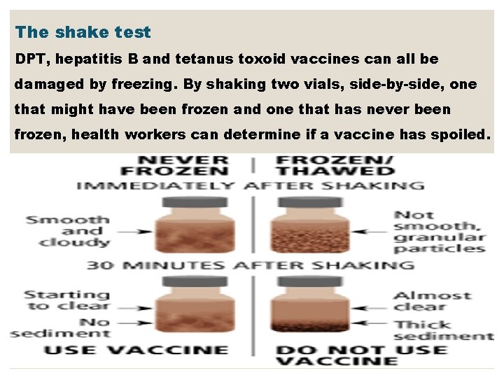 The shake test DPT, hepatitis B and tetanus toxoid vaccines can all be damaged